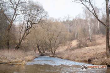 _MG_1336.jpg