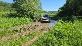 20260606_151118.jpg
