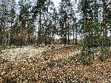 IMG_5676.JPG