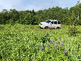 IMG_8805.JPG