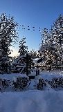 IMG_3691.JPG
