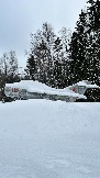 IMG_7765.jpg