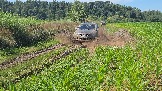 20260801_135252.jpg