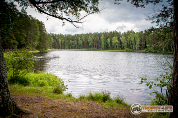 _MG_6412.jpg
