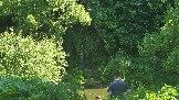 20260606_104104.jpg