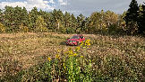 Трофи-лайф фото 4х4 покатушка Подвиги Русского Солдата 28.09.2024 -  (192).png