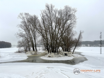 Фото Трофи-лайф 4х4 покатушка Коломенские Сладости 28.01.23 - 121.JPEG