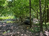 IMG_1064.JPG