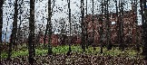 IMG_20231106_133854.jpg