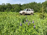 IMG_8809.JPG