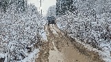 20251115_123006.jpg