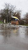 20231106_085459.jpg