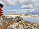 Трофи-лайф Экспедиция Казахстан Май 2024 (55).jpg