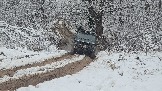 20251115_123839.jpg