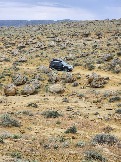 Трофи-лайф Экспедиция Казахстан Май 2024 (34).jpg