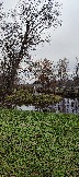 IMG_20231104_104359.jpg
