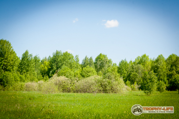 _MG_1810.jpg