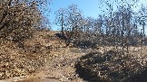 20250308_115033.jpg