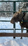 IMG_3397.JPG