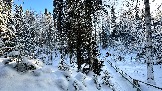 F735764C-5C93-441E-8716-3694C0CDC21C.jpeg