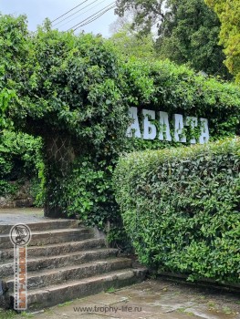 Фото Трофи-лайф 4х4 экспедиция Абхазия 2022 1-9.05.22 - 239.jpg