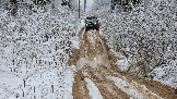 20251115_123127.jpg