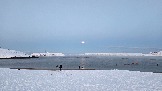 20251205_135603 териб залив.jpg