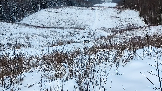 Трофи-лайф фото 4х4 покатушка Рогачёвские Сокровища 14.12.2024 - (103).png