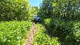 20260606_124631.jpg