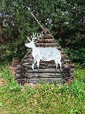 IMG_20260613_140134_752.jpg