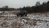 Трофи-лайф фото 4х4 покатушка Школа 4х4 16.02.2025 -  (186).jpg