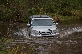 IMG_8887.jpeg