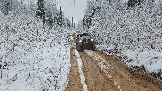 20251115_123140.jpg
