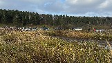 IMG_7453.jpg