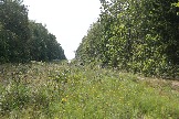 LKV_1644.JPG