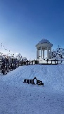 IMG_3485.JPG