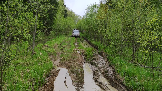 Трофи-лайф фото 4х4 покатушка Рогачёвские Сокровища 11.05.2024 - (55).png