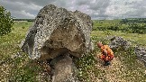 IMG_1221.jpg