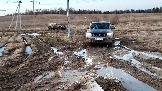 Трофи-лайф фото 4х4 покатушка Дмитровская Игрушка 08.03.2025 - (138).jpg