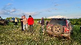 IMG_1396.jpg
