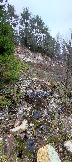 IMG_20231105_112221.jpg