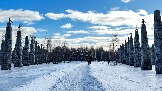 IMG_1367.jpg