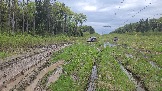 20260510_161356.jpg