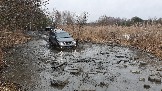 20250315_111902.jpg