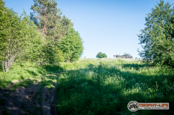 _DSC7875.jpg