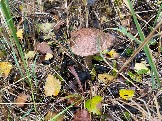 IMG_5687.JPG
