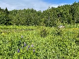 IMG_8803.JPG