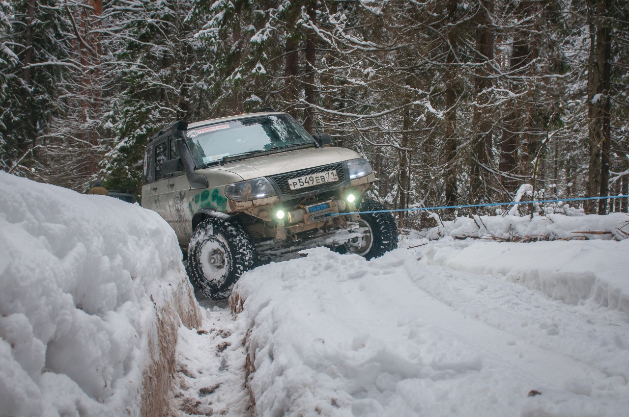 Весёлая просека