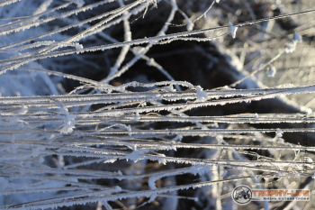 Фото Трофи-лайф 4х4 покатушка Южные Косогоры 12.12.20 - 166.JPG