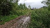 Трофи-лайф фото 4х4 Корпаративный Джип-тур в Яхроме 17.08.2024 - (65).png